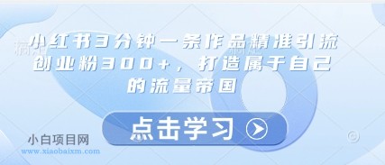 小红书3分钟一条作品精准引流创业粉300+，打造属于自己的流量帝国-小白项目分享网