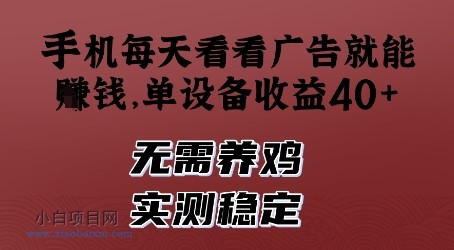 手机每天看看广告就能挣钱，单设备收益40+，无需养鸡，实测稳定【揭秘】-小白项目分享网
