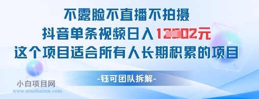 不露脸不直播不拍摄抖音单条视频日入1k+这个项目适合所有人长期积累的项目-小白项目分享网