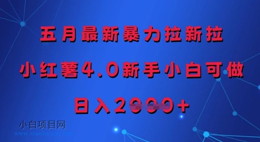 五月最新暴力拉新拉,小红薯4.0新手小白可做,日入多张