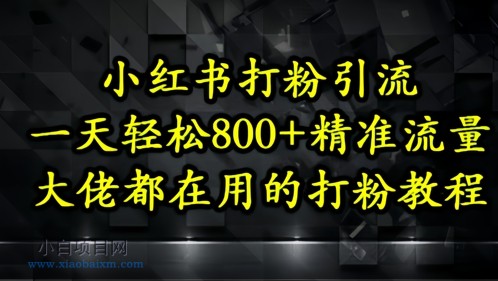 小红书打粉引流，一天轻松500+精准流量，大佬都在用的打粉教程-小白项目分享网