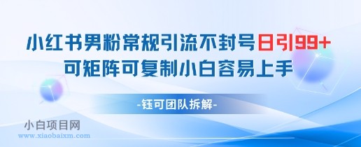 小红书男粉常规引流不封号日引99+变现简单 可矩阵可复制小白容易上手-小白项目分享网