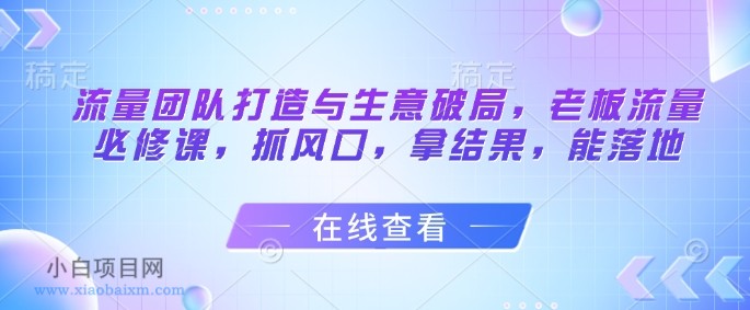 流量团队打造与生意破局，老板流量必修课，抓风口，拿结果，能落地-小白项目分享网