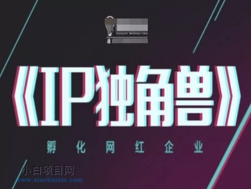 IP独角兽，孵化网红企业，ip教程-小白项目分享网