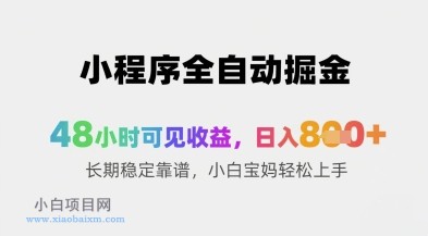 小程序全自动掘金，48小时可见收益，日入8张+长期稳定靠谱，小白宝妈轻松上手【揭秘】-小白项目分享网