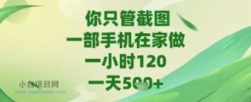 你只管截图，一部手机在家做，苹果安卓都可以，一天5张+【揭秘】-小白项目分享网