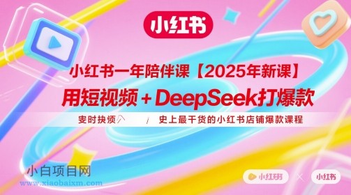 小红书一年陪伴课【2025年新课】,用短视频+deepSeek打爆款,史上最干货的小红书店铺爆款课程