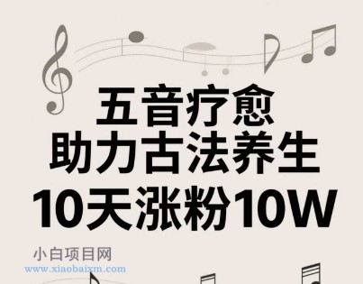 古法五音养生教程，五音疗愈的视频的制作方法，2-4小时就能学会，作者10天涨粉10W-小白项目分享网