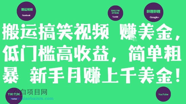 搬运搞笑视频挣美金，低门槛高收益，简单粗暴新手月入上千美刀-小白项目分享网