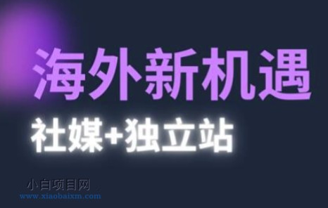 2025出海新机遇(社媒+独立站)，海外新机遇，实现独立站的高效运营与出海-小白项目分享网