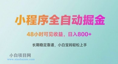 微信小程序全自动掘金，48小时可见收益，日入多张，长期稳定靠谱，小白宝妈轻松上手【揭秘】-小白项目分享网