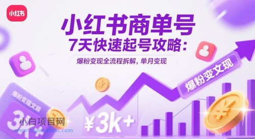 小红书商单号7天快速起号攻略：爆粉变现全流程拆解，单月变现3k+-小白项目分享网