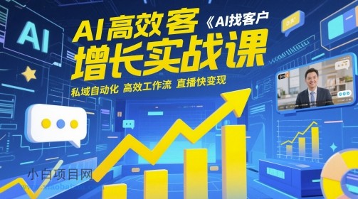 AI高效获客增长实战课，​AI找客户 私域自动化 高效工作流 直播快变现-小白项目分享网