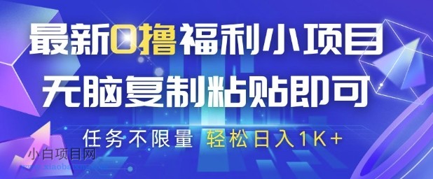 最新0撸福利小项目，抖音平台大放水，无脑复制粘贴 即可挣钱，任务不限量，轻松日入1K+【揭秘】-小白项目分享网