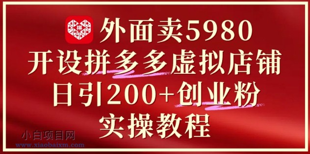 外面卖5980开设拼多多虚拟店铺：单日引流200+创业付费粉实战教程-小白项目分享网
