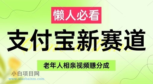 支付宝新赛道，利用老年人相亲视频，挣分成收益，轻松月入过W，操作简单-小白项目分享网