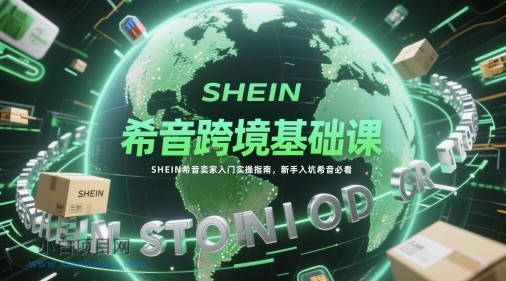 希音跨境基础课，SHEIN希音卖家入门实操指南，新手入坑希音必看-小白项目分享网