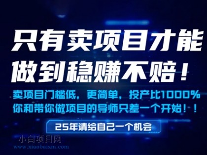 只有卖项目才能做到稳挣不赔，门槛低，更简单，你也可以年入百个W【揭秘】-小白项目分享网