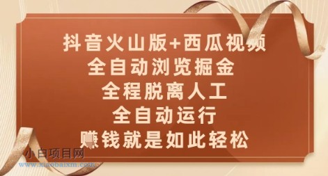抖音火山版+西瓜视频双平台，全自动浏览掘金 ，全程脱离人工，全自动运行，挣米就是如此轻松【揭秘】-小白项目分享网