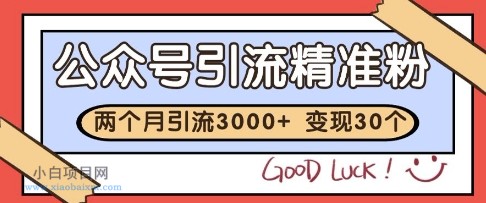公众号精准粉引流玩法，2个月3000+精准粉，变现30个W【揭秘】-小白项目分享网