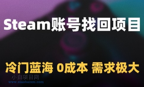 Steam账号找回项目，冷门蓝海，0成本，需求极大-小白项目分享网
