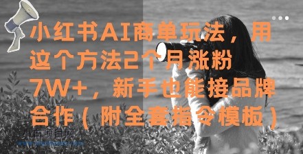 小红书AI商单玩法，用这个方法2个月涨粉7W+，新手也能接品牌合作(附全套指令模板)-小白项目分享网