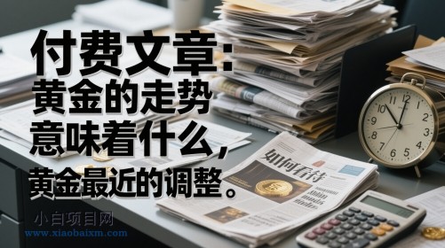 付费文章：黄金的走势意味着什么，如何看待黄金最近的调整-小白项目分享网