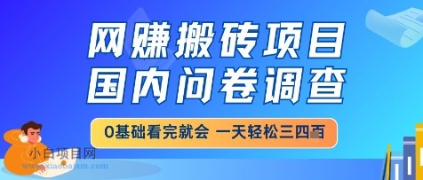 网创搬砖项目，国内问卷调查，小白轻松上手，一天三四张的也不难，干就完了【揭秘】-小白项目分享网