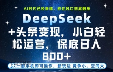 DeepSeek+头条变现，保姆级教学，小白轻松上手，日入8张+【揭秘】-小白项目分享网