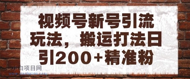 视频号新号引流玩法，搬运打法日引200+精准粉，可矩阵放大【揭秘】-小白项目分享网