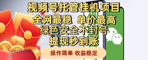 视频号托管挂G项目全网最稳，单价最高，绿色安全不封号提现秒到账，操作简单，收益稳定【揭秘】-小白项目分享网