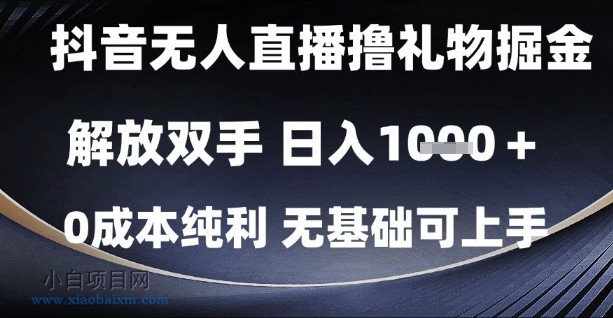 抖音无人直播撸礼物掘金，解放双手，日入1k，0成本纯利，无基础可上手【揭秘】-小白项目分享网