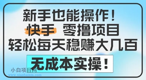 新手也能操作，快手零撸挣米，轻松每天挣2-5张，完全无成本-小白项目分享网