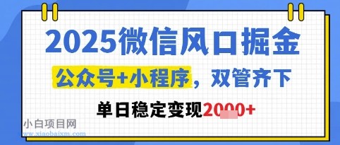 2025微信风口掘金，公众号+小程序双管齐下，单日稳定变现1k+【揭秘】-小白项目分享网