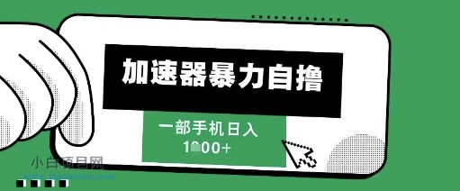2025新风口，加速器暴力自撸，单机日入1k+【揭秘】-小白项目分享网