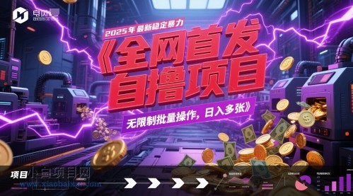 全网首发，2025年最新稳定暴力全自动自撸项目，无限制批量操作，日入多张【揭秘】-小白项目分享网