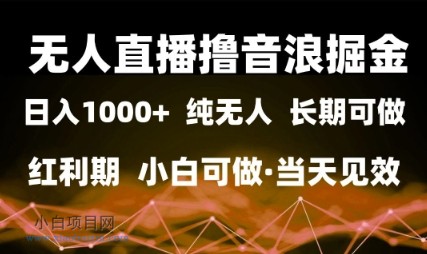 无人直播撸音浪掘金，日入1k+，纯无人红利期，小白可做，当天见效【揭秘】-小白项目分享网