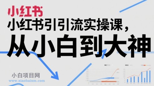 小红书引流实操课，从小白到大神-小白项目分享网