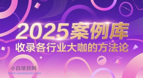 2025案例库，收录各行业大咖的方法论-小白项目分享网