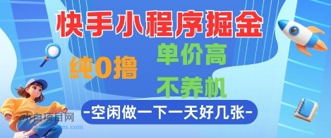 快手小程序掘金，纯0撸，单价高不养机 利用空闲时间做一做，一天好几张【揭秘】-小白项目分享网