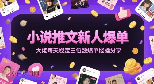 小说推文新人爆单大佬每天稳定三位数爆单经验分享-小白项目分享网