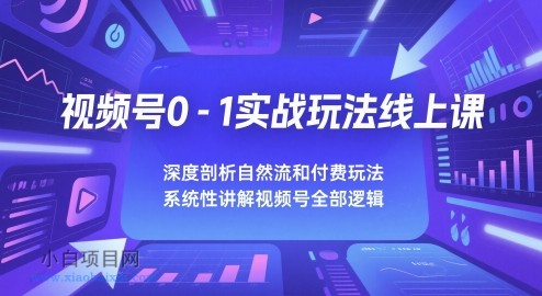 视频号0-1实战玩法线上课，深度剖析自然流和付费玩法，统性讲解视频号全部逻辑-小白项目分享网
