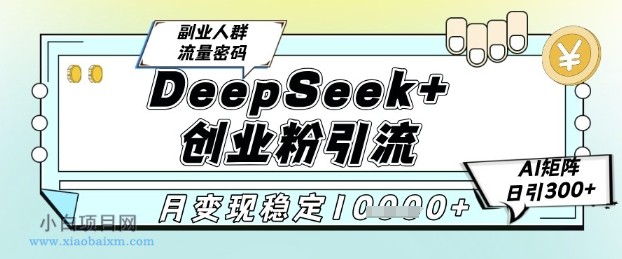 DeepSeek+创业粉精准引流，全新分享课4.0玩法，AI矩阵日引300+，多种变现方式，稳定月入1W-小白项目分享网