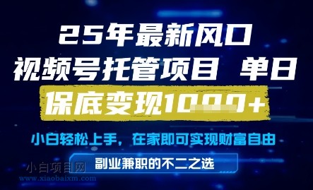 25年最新风口，视频号托管项目，单日保底变现1k+，手把手教学【揭秘】-小白项目分享网
