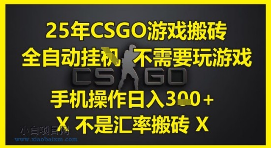 25年CSGO游戏搬砖，全自动运行，不需要玩游戏，手机操作日入3张(不是汇率搬砖)【揭秘】-小白项目分享网