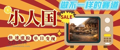 DeepSeek+绘图+视频制作小人国微观视频，小白轻轻松松上手，条条爆款，条条变现，单日就能收益-小白项目分享网