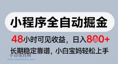 微信小程序全自动掘金，快速见收益，长期稳定靠谱，零基础友好，日入8张【揭秘】-小白项目分享网