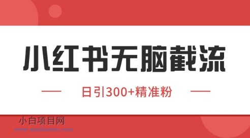 小红书截流同行客源，独家野路子获客玩法 日引200+暴力获客【揭秘】-小白项目分享网