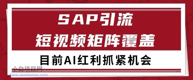 小红书某音sap赛道引流获客 自热矩阵日引200+【揭秘】