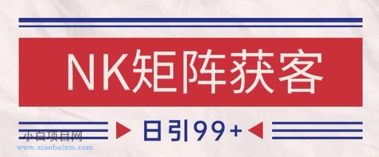 小红书某音NK赛道引流获客 自热矩阵日引200+【揭秘】-小白项目分享网